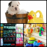 Pet Shop Achiko