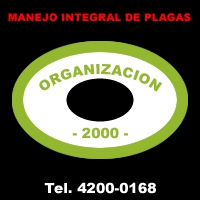 Organización 2000