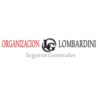Organización Lombardini LG